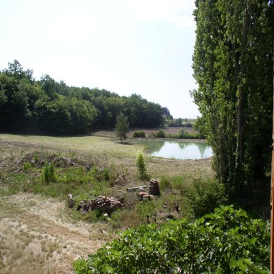 L'etang