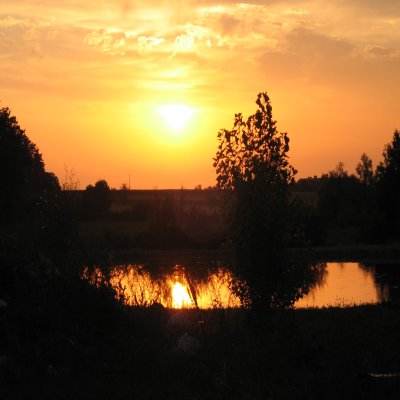 L'etang
