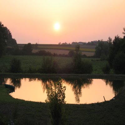 L'etang